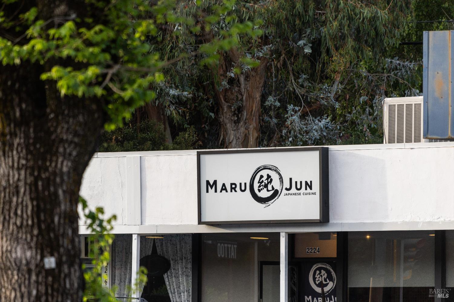 159 Terrace Avenue San Rafael, CA 94901 - Photo 48 of 50