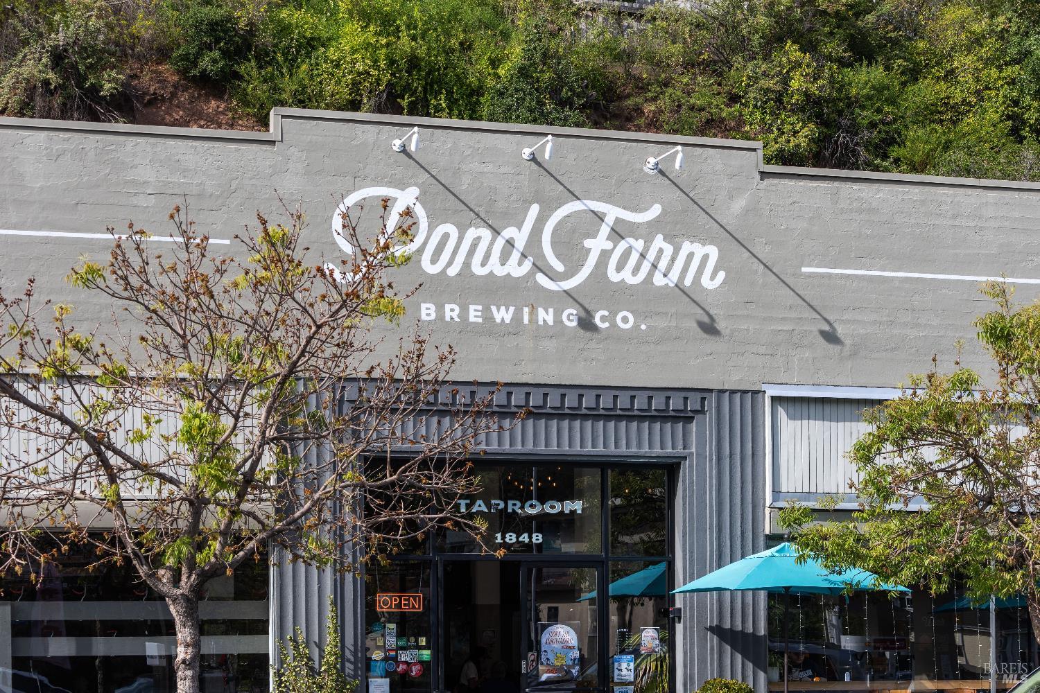 159 Terrace Avenue San Rafael, CA 94901 - Photo 49 of 50