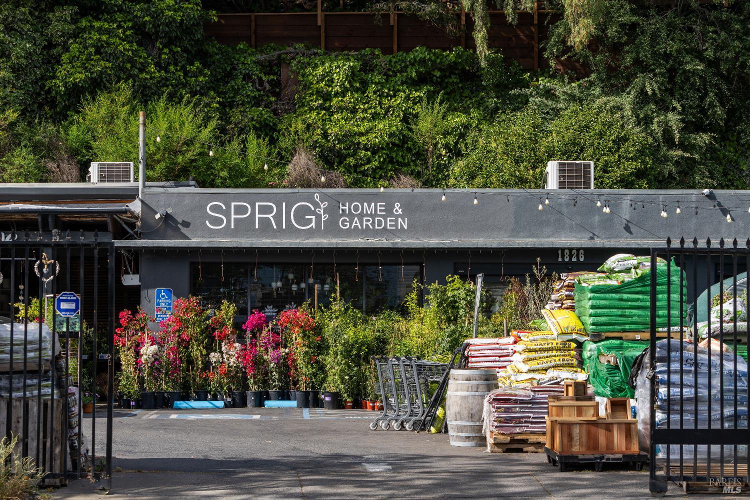 159 Terrace Avenue San Rafael, CA 94901 - Photo 50 of 50