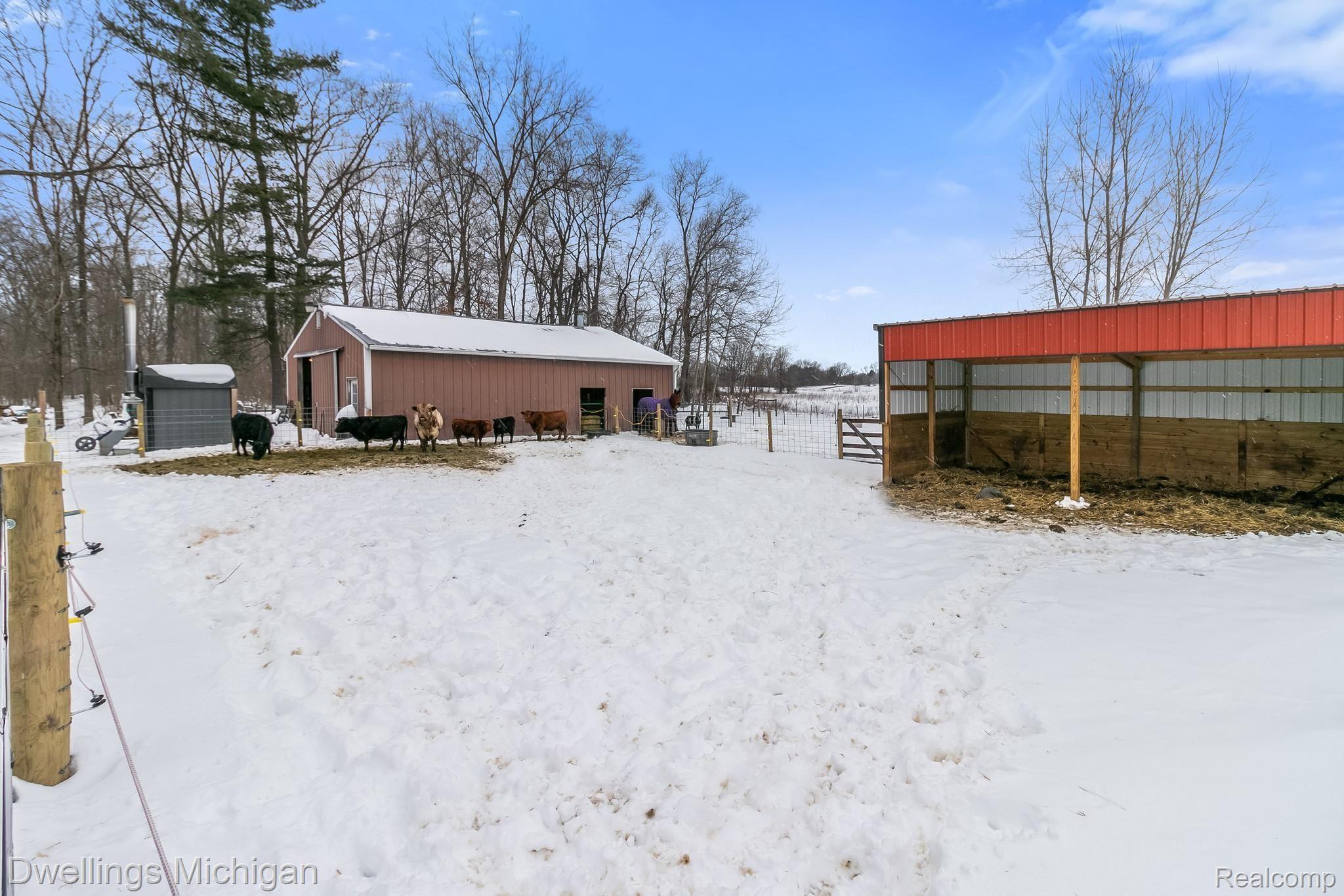 4567 Musson Road Howell, MI 48855 - Photo 35 of 39 6 paddocks; cow paddock has electric fence and lean-to