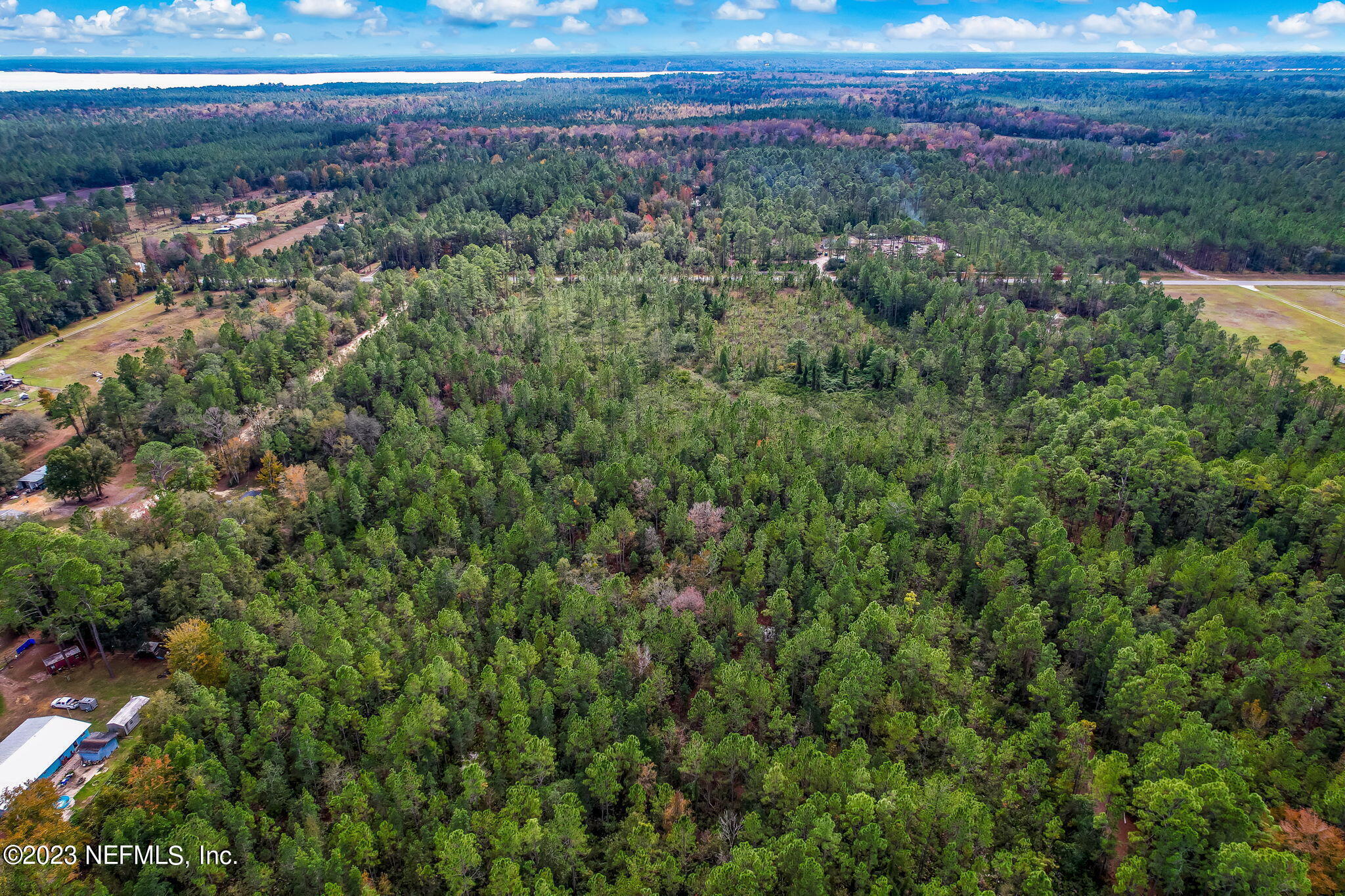 0 Unassigned Address Interlachen, FL 32148 - Photo 11 of 35 a view of a lush green forest with lots of trees