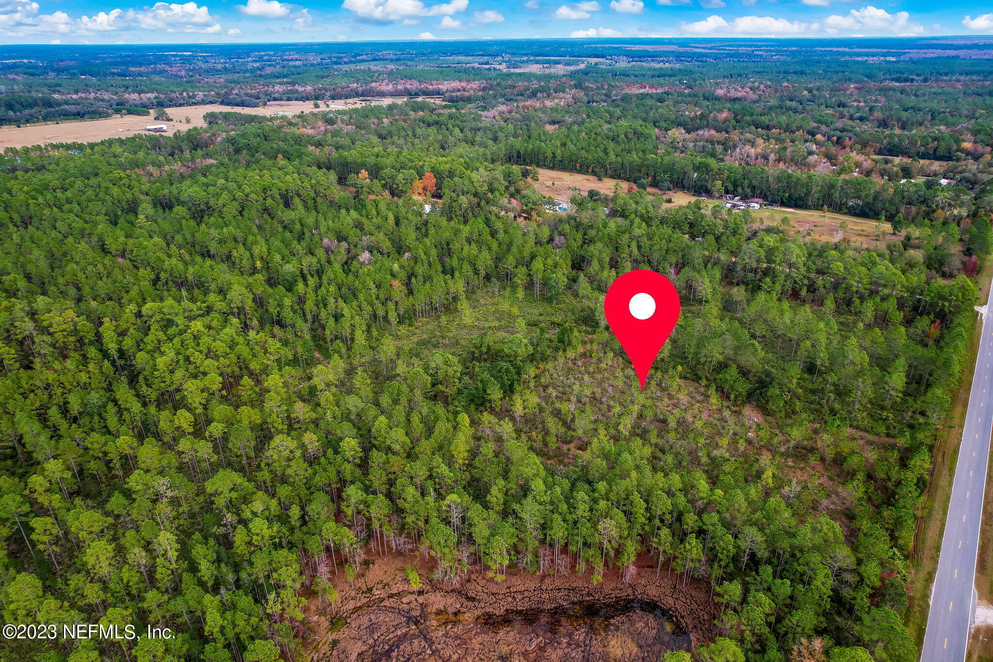 0 Unassigned Address Interlachen, FL 32148 - Photo 16 of 35 a view of a lush green forest with lots of trees