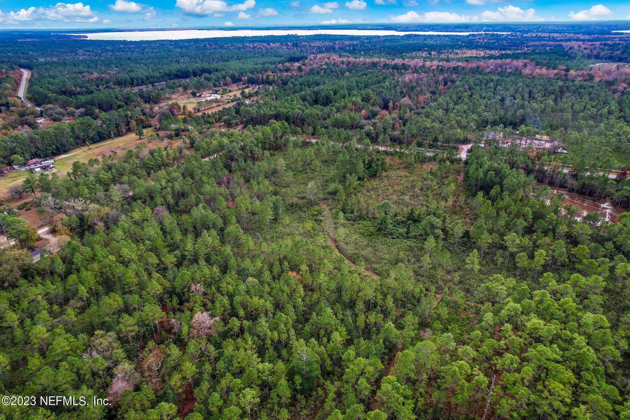 0 Unassigned Address Interlachen, FL 32148 - Photo 19 of 35 a view of a lush green forest with lots of trees