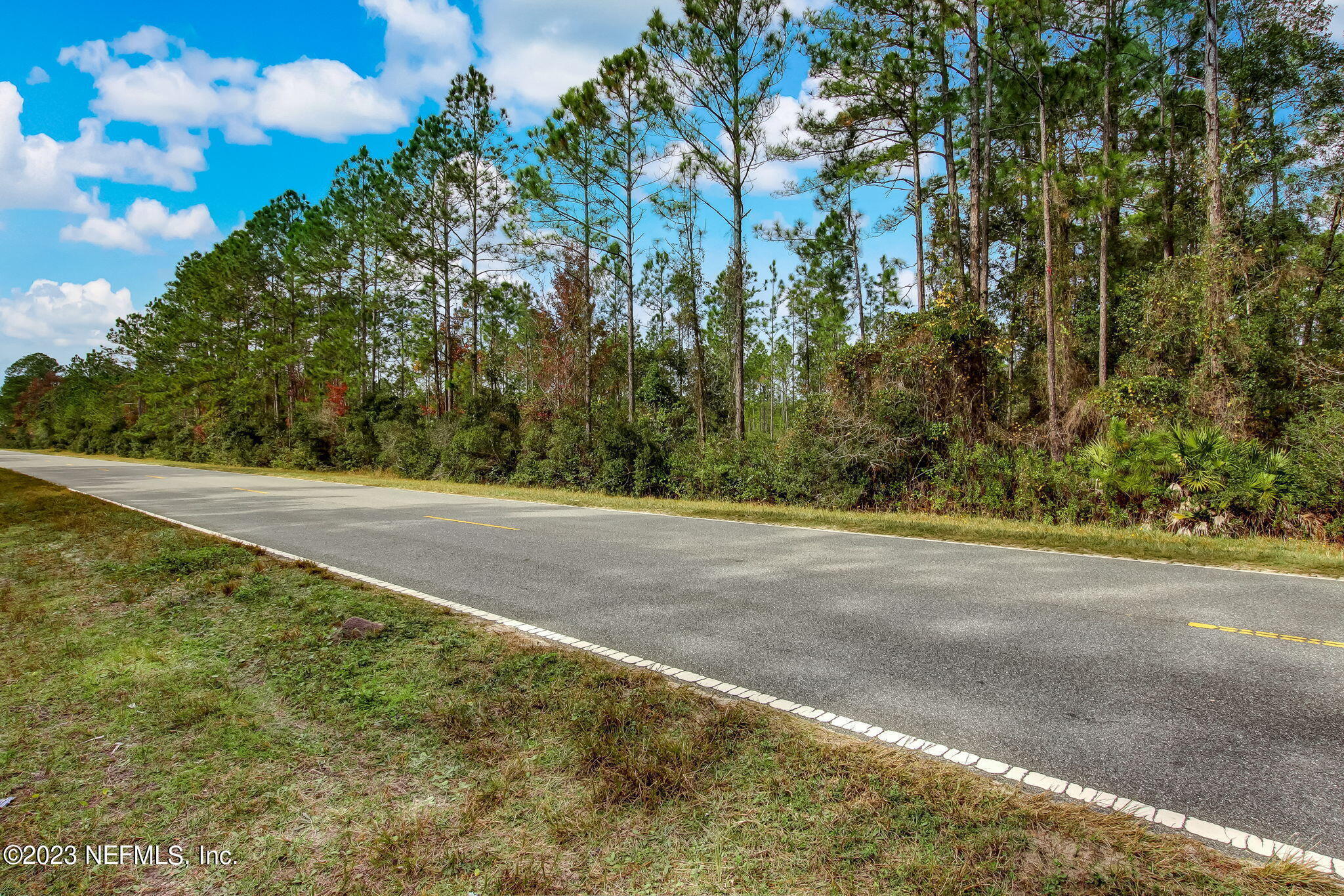0 Unassigned Address Interlachen, FL 32148 - Photo 27 of 35 a view of a yard with large trees