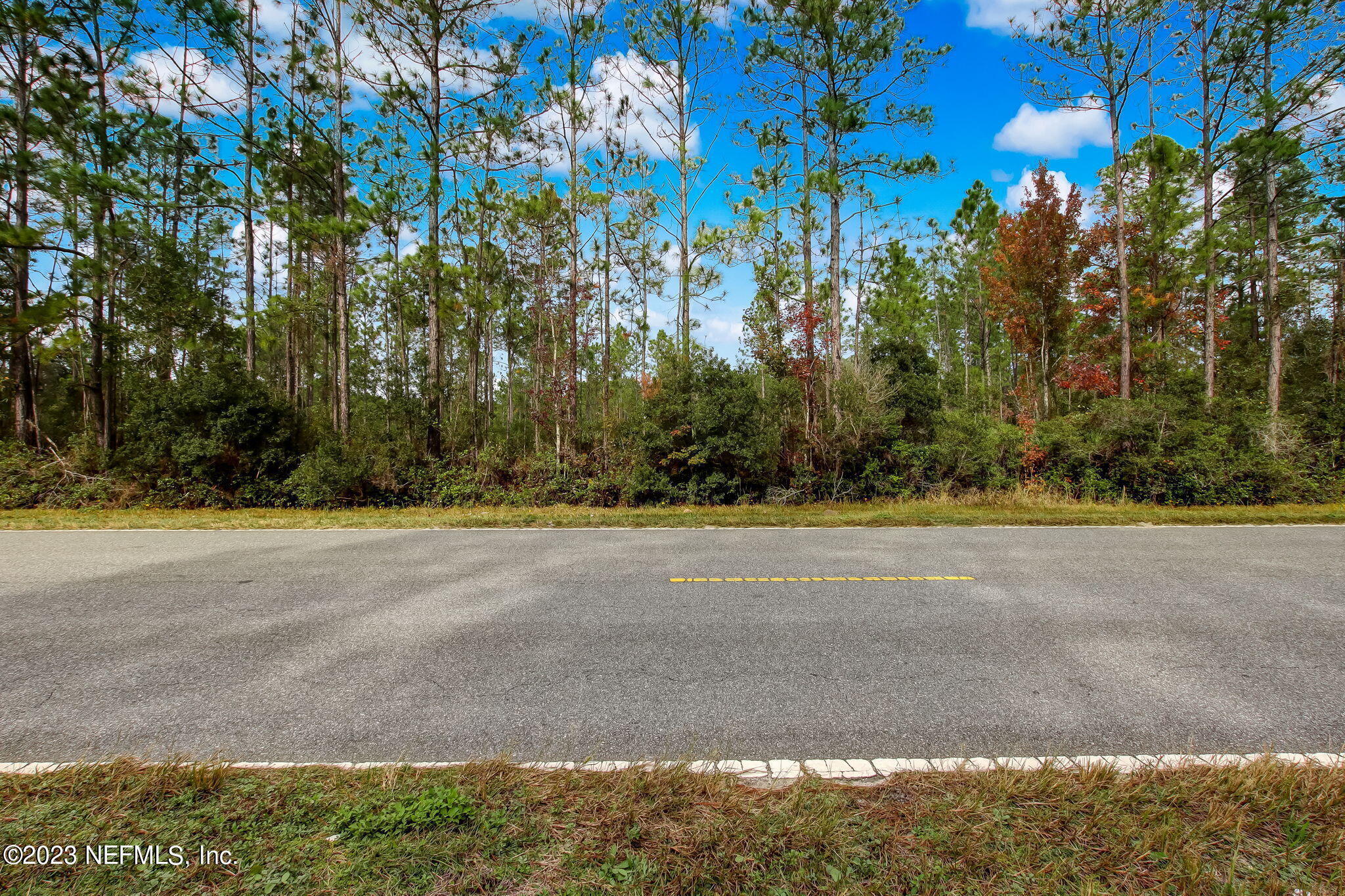 0 Unassigned Address Interlachen, FL 32148 - Photo 28 of 35 a view of road and trees
