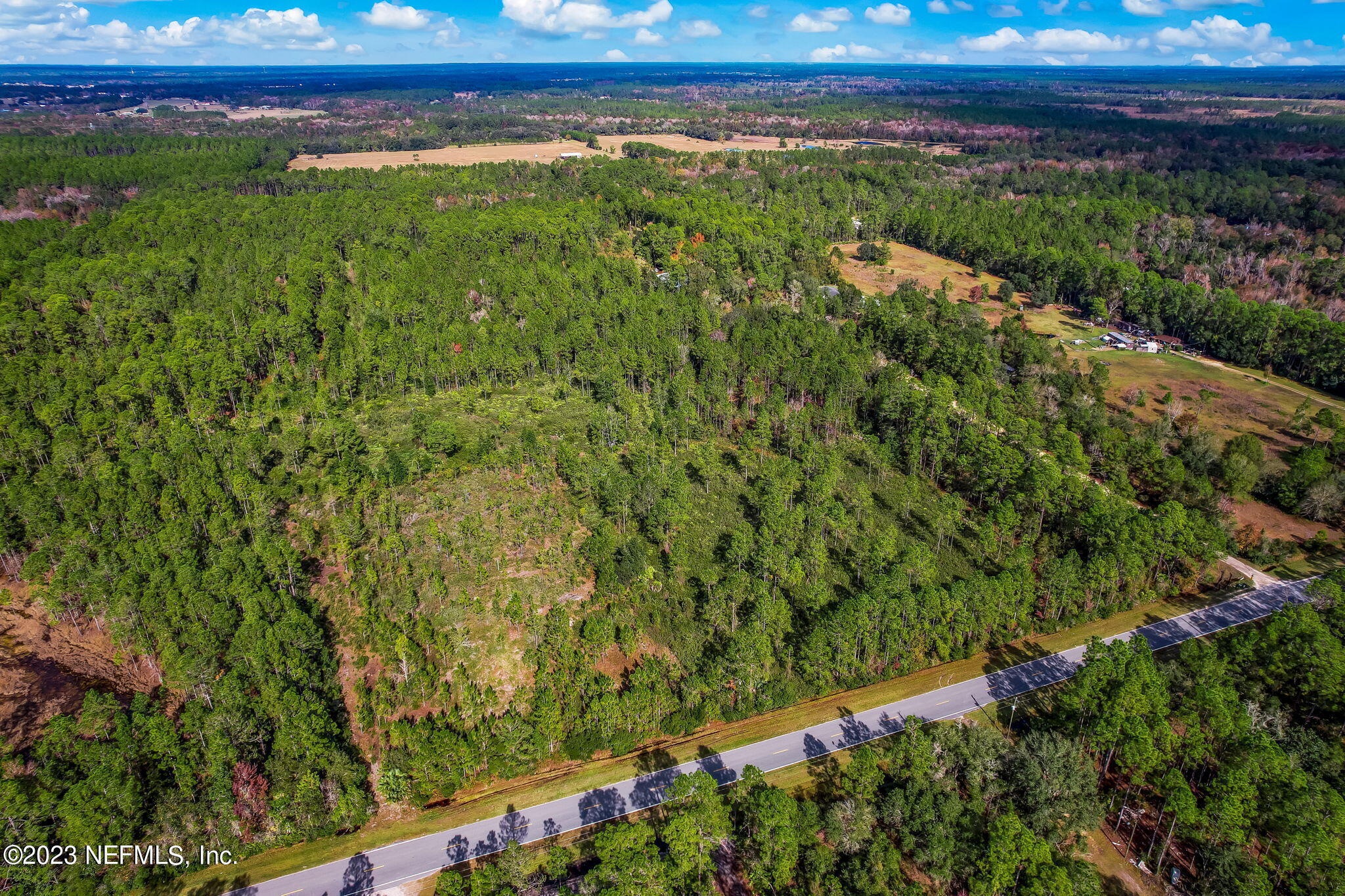 0 Unassigned Address Interlachen, FL 32148 - Photo 30 of 35 a view of a lush green forest with lots of trees