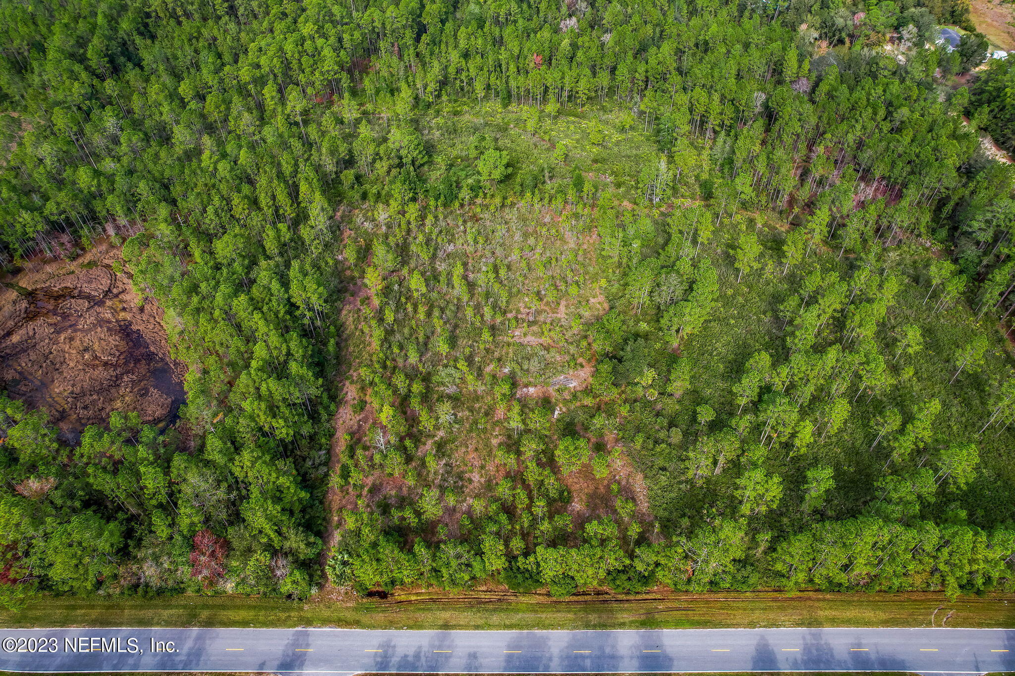 0 Unassigned Address Interlachen, FL 32148 - Photo 5 of 35 a view of a yard