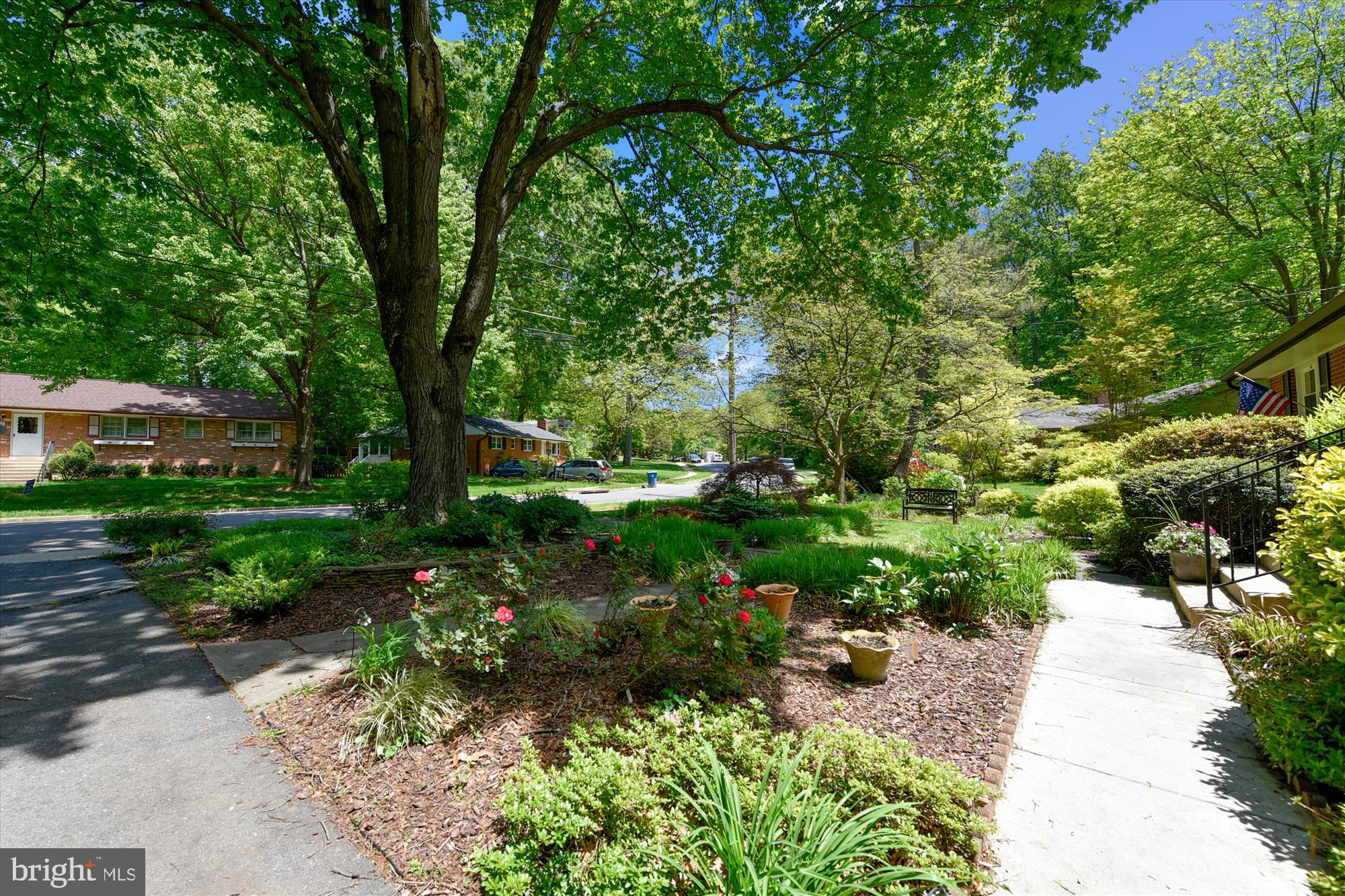 5645 Ravenel Lane Springfield, VA 22151 - Photo 49 of 53 the private yard is beautifully landscaped