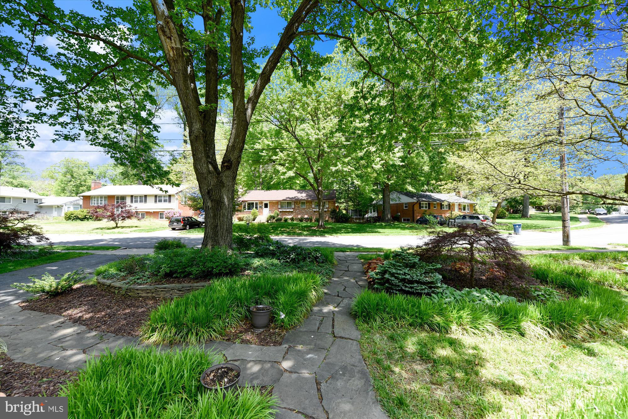 5645 Ravenel Lane Springfield, VA 22151 - Photo 50 of 53 View from front door