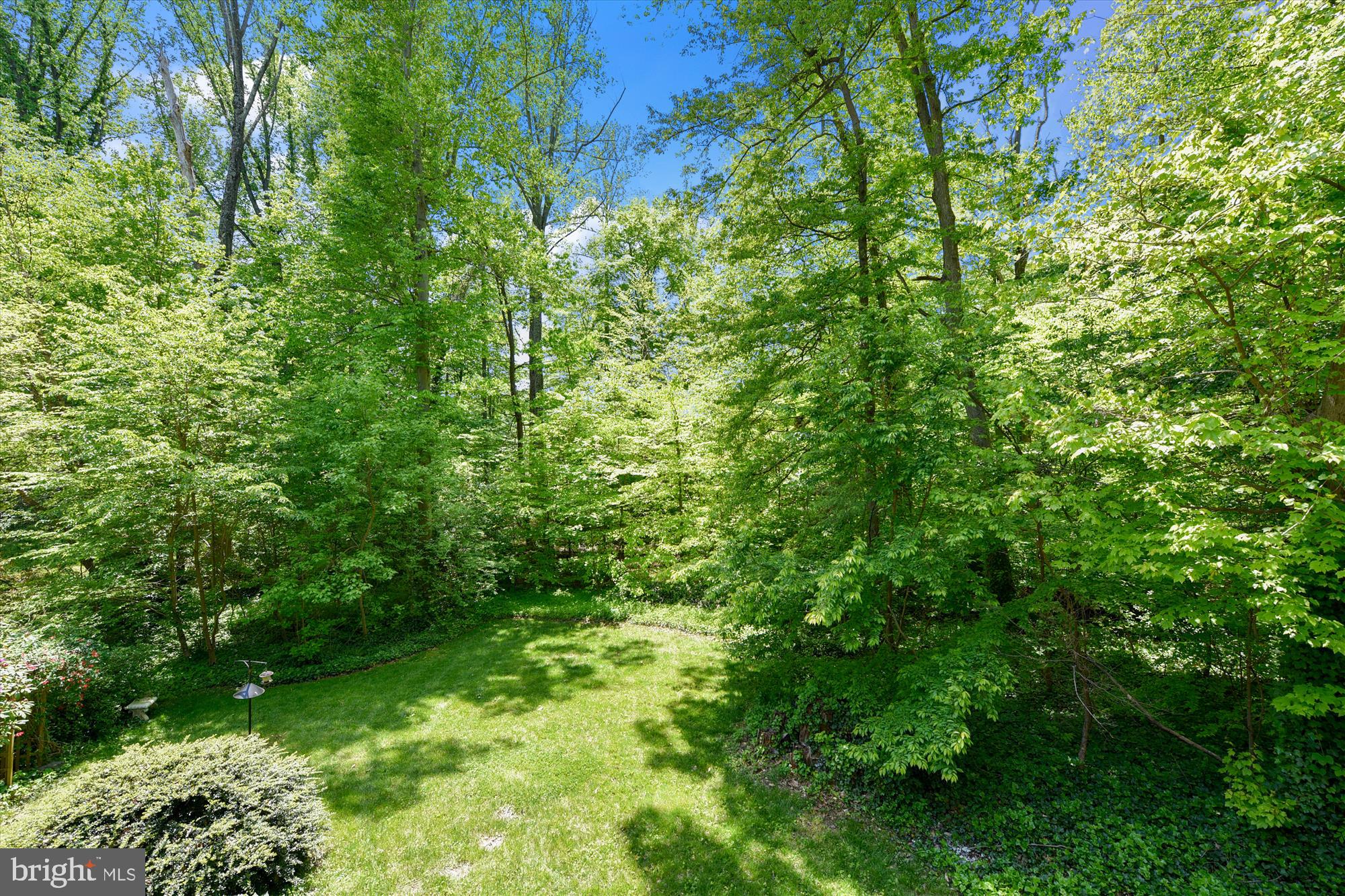 5645 Ravenel Lane Springfield, VA 22151 - Photo 51 of 53 View from upper deck