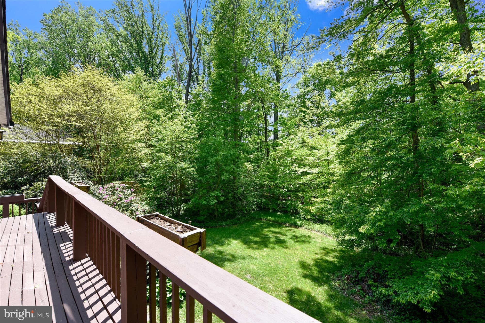 5645 Ravenel Lane Springfield, VA 22151 - Photo 52 of 53 view from rear of home