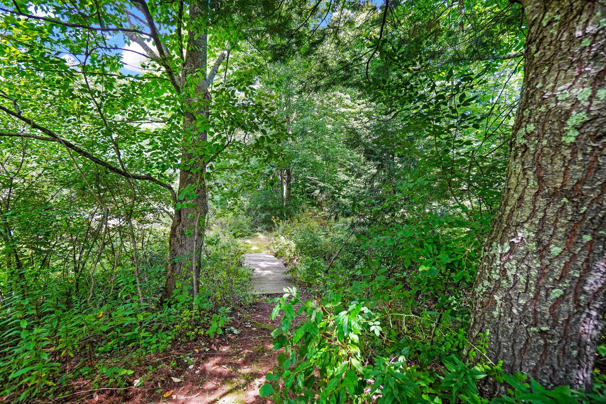 27 Dow Road Gorham, ME 04038 - Photo 20 of 58 Walking paths
