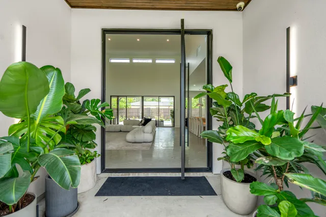 a potted plant sitting in front of a window