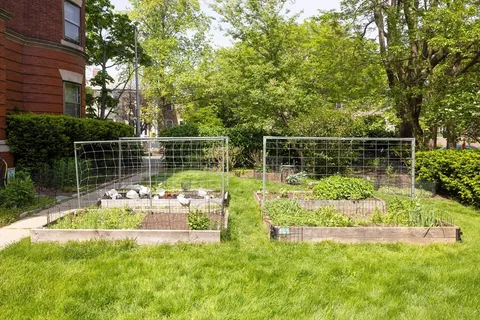 a view of a garden with a slide
