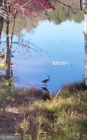 a view of a tennis court