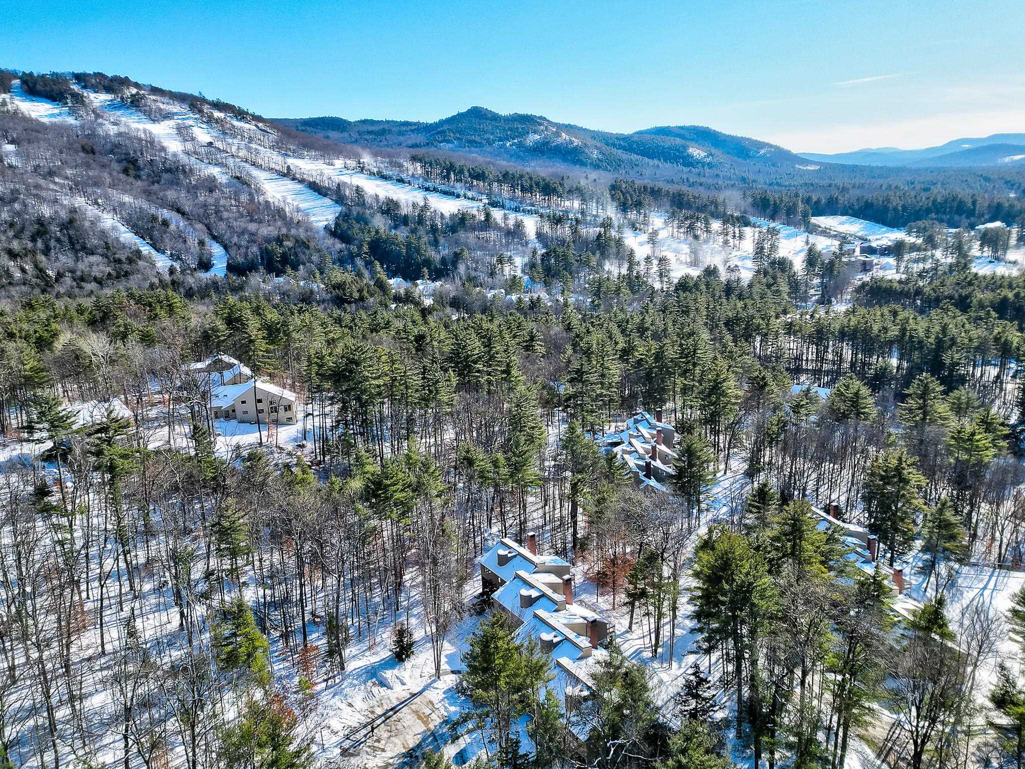 72 Cranmore Woods Road, Unit 2 North Conway, NH 03860 - Photo 55 of 60