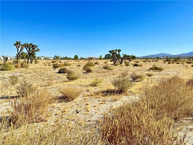 a view of the snow on the road