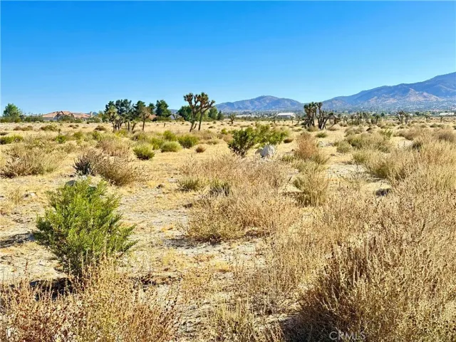 a view of beach and ocean