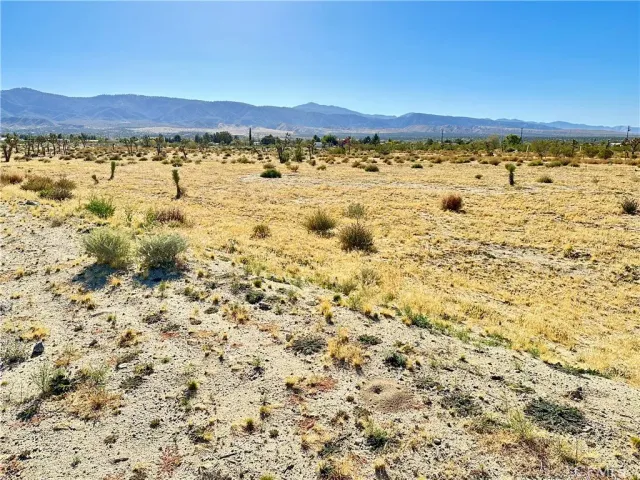 a view of a yard with an ocean view
