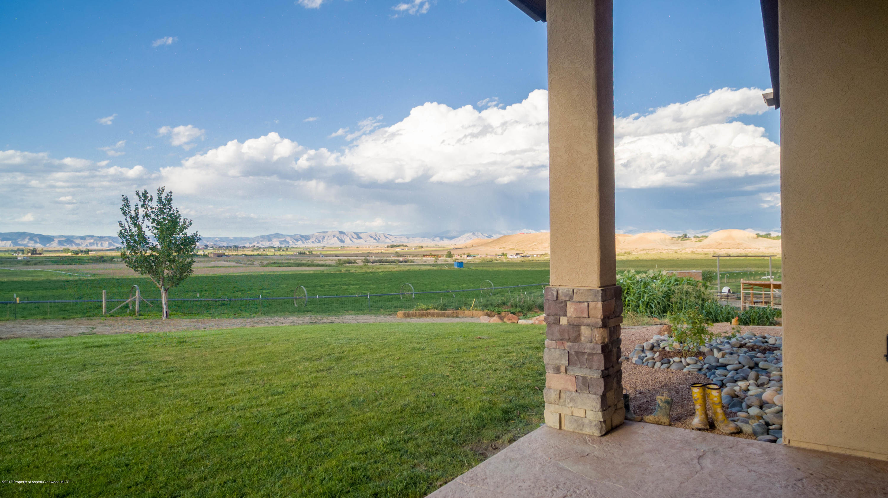 1690 8 Road Mack, CO 81525 - Photo 26 of 37 a view of a garden and mountains
