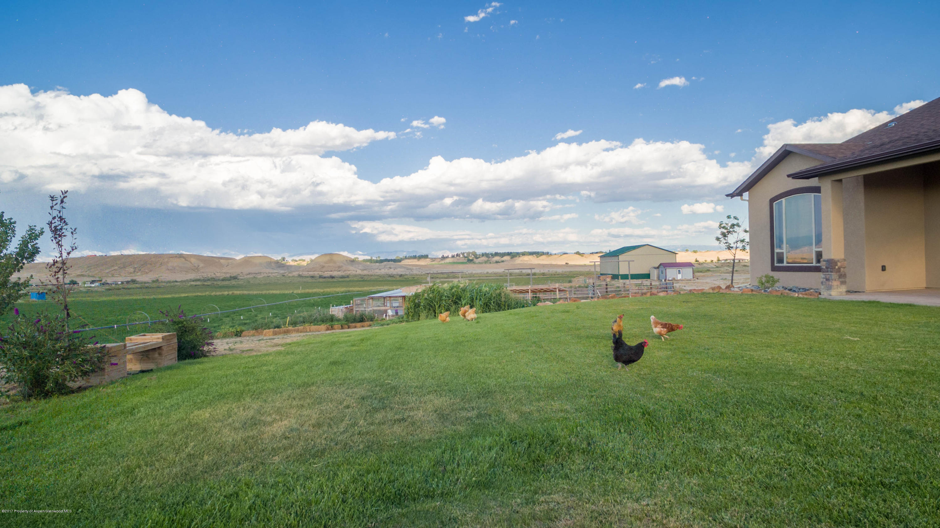 1690 8 Road Mack, CO 81525 - Photo 30 of 37 a view of a golf course with table and chairs