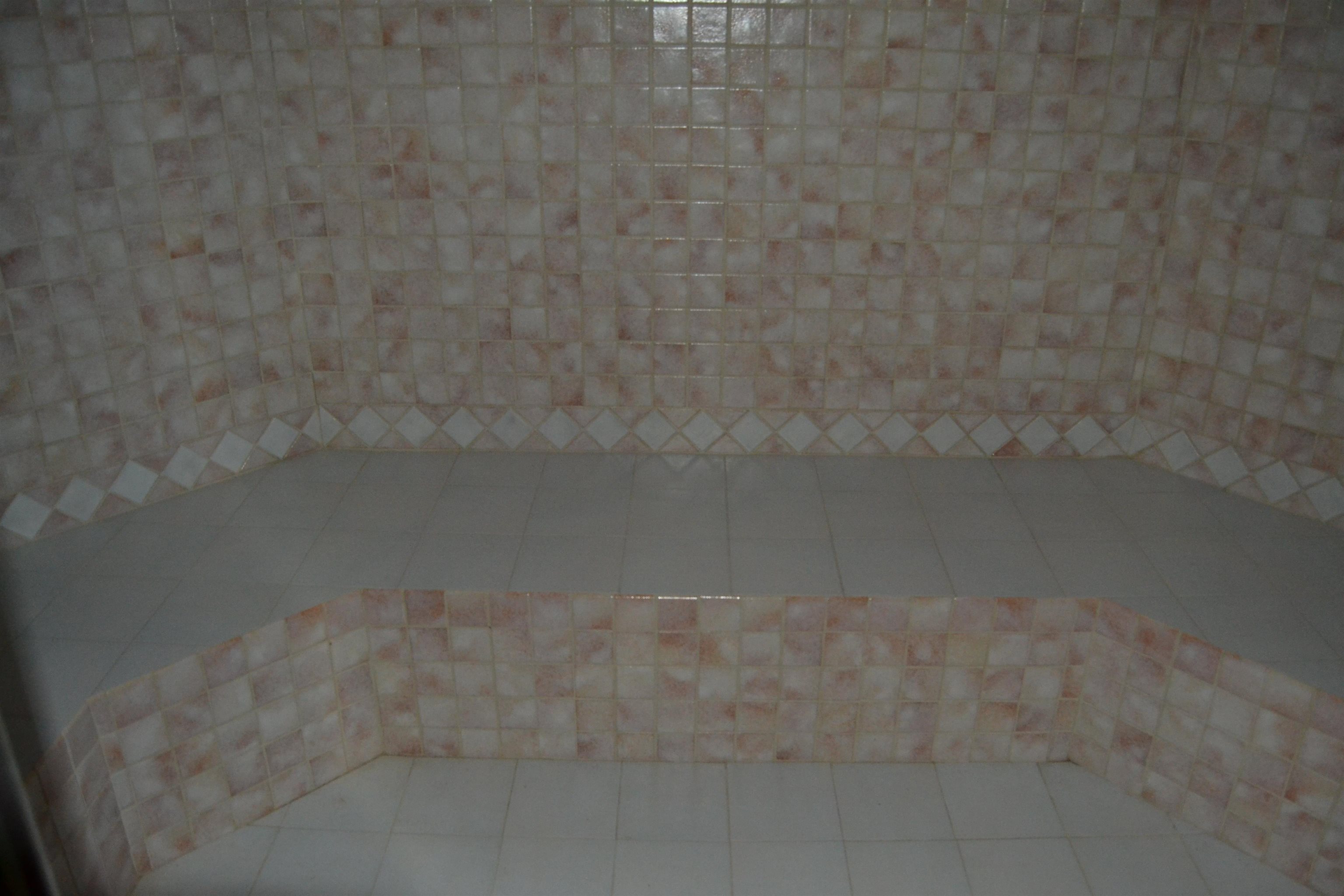 470 Walnut Point Cove Memphis, TN 38018 - Photo 14 of 37 Steam Room