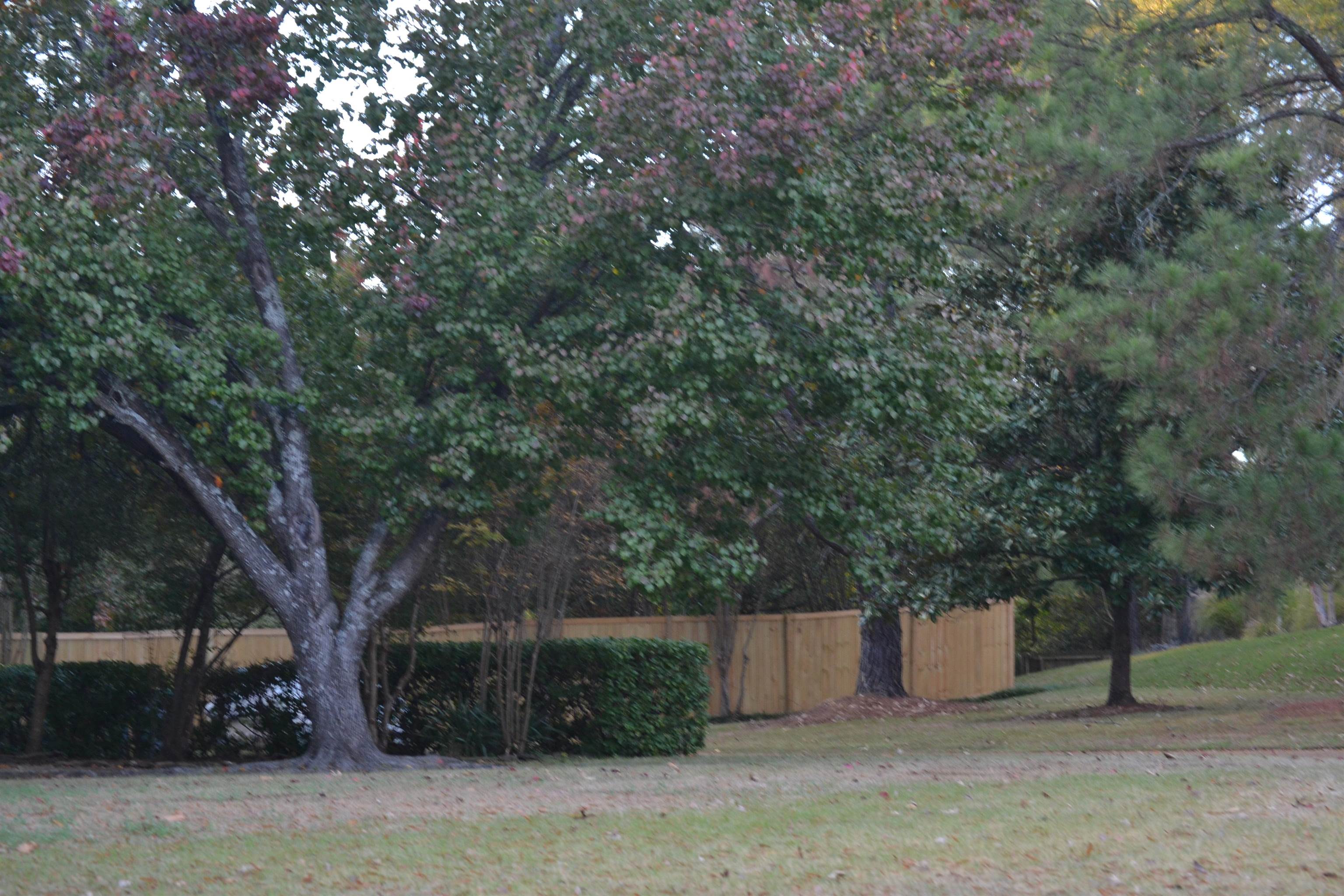 470 Walnut Point Cove Memphis, TN 38018 - Photo 29 of 37 View of yard