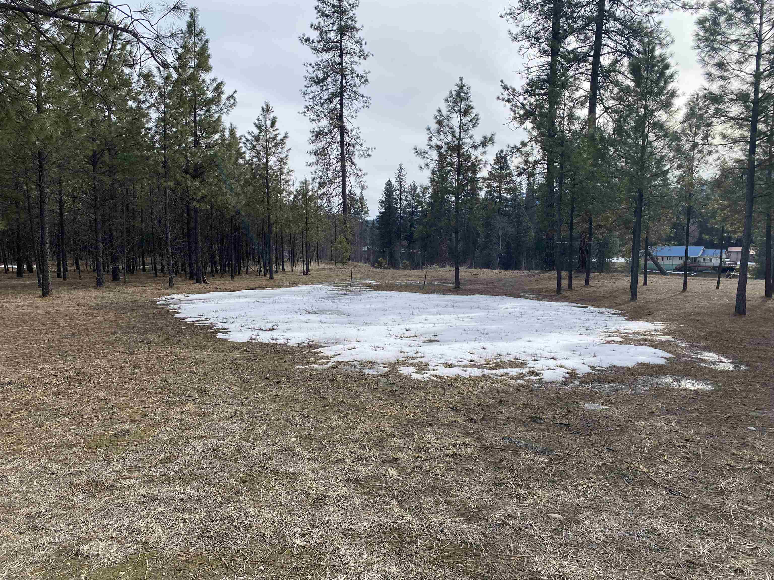 3347 Rockcut Road Kettle Falls, WA 99141 - Photo 13 of 16