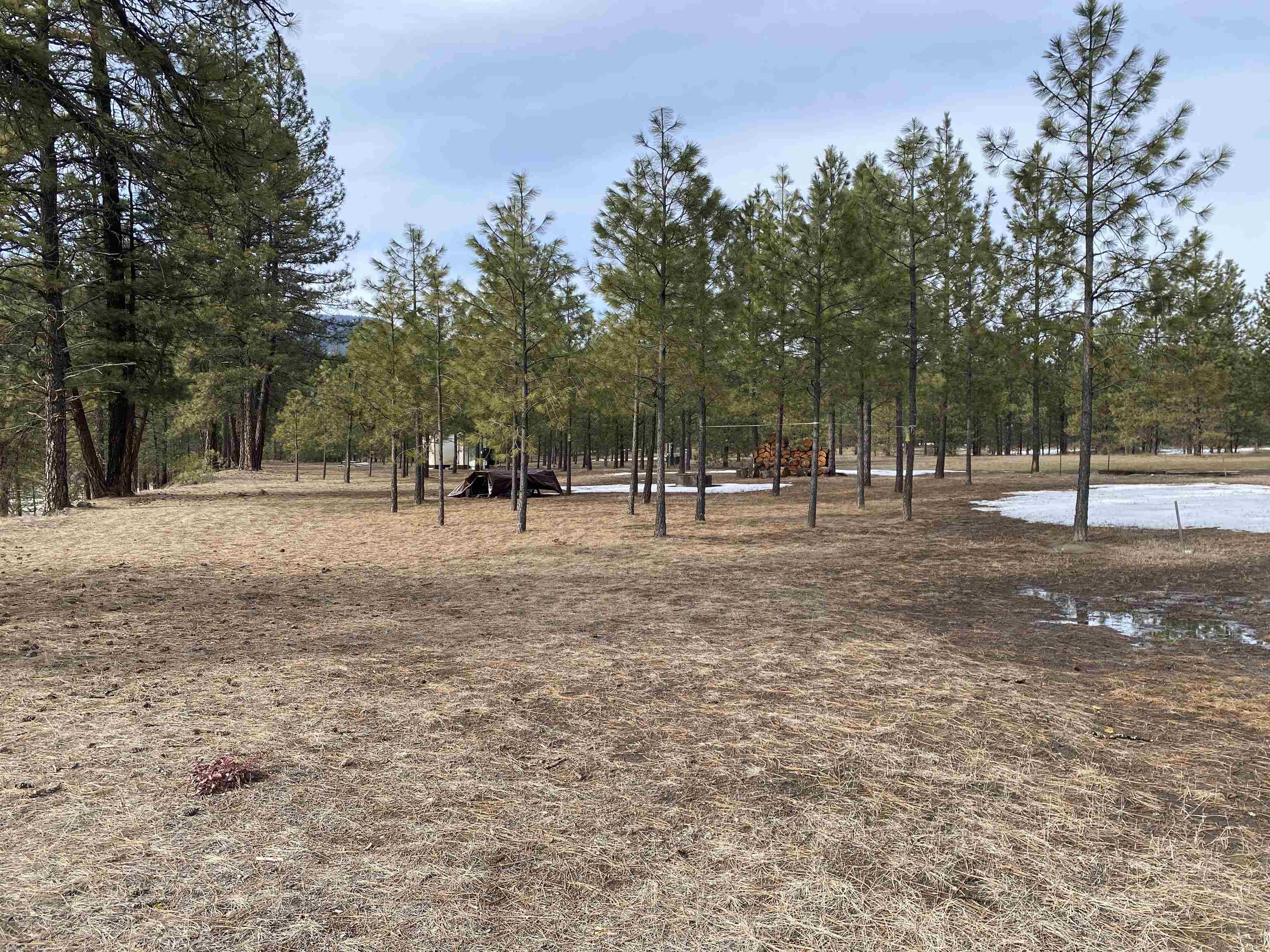 3347 Rockcut Road Kettle Falls, WA 99141 - Photo 3 of 16