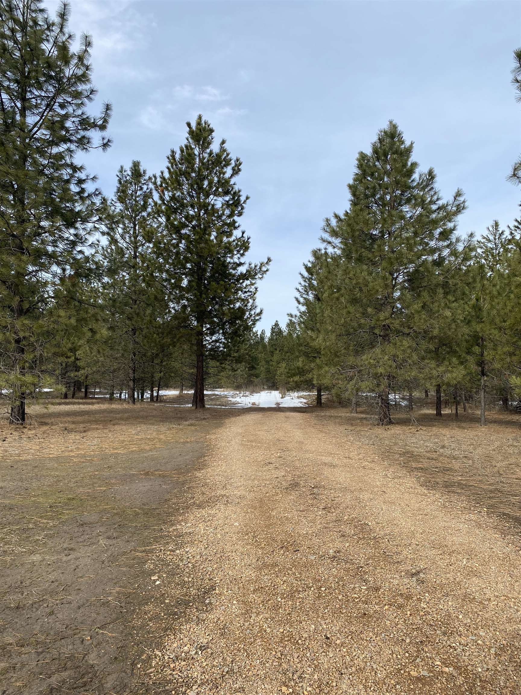 3347 Rockcut Road Kettle Falls, WA 99141 - Photo 10 of 16