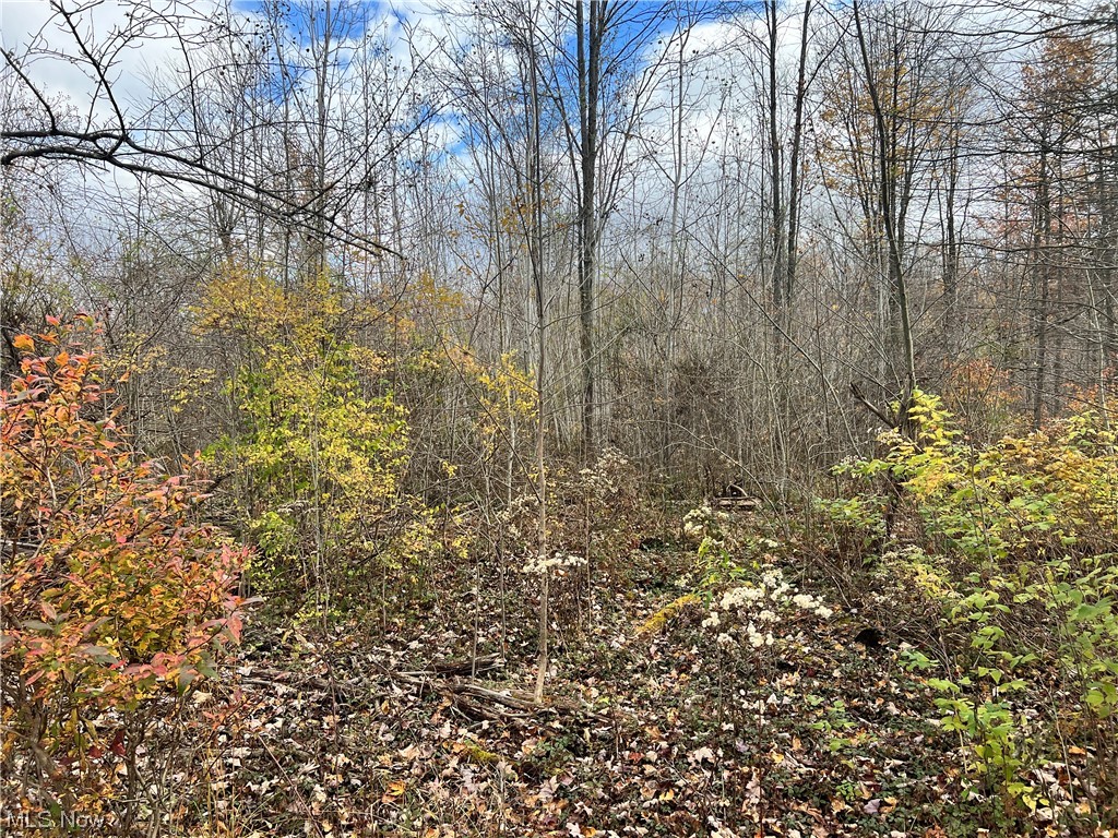 6 Us Route Pierpont, OH 44082 - Photo 21 of 32 View of mother earth's splendor