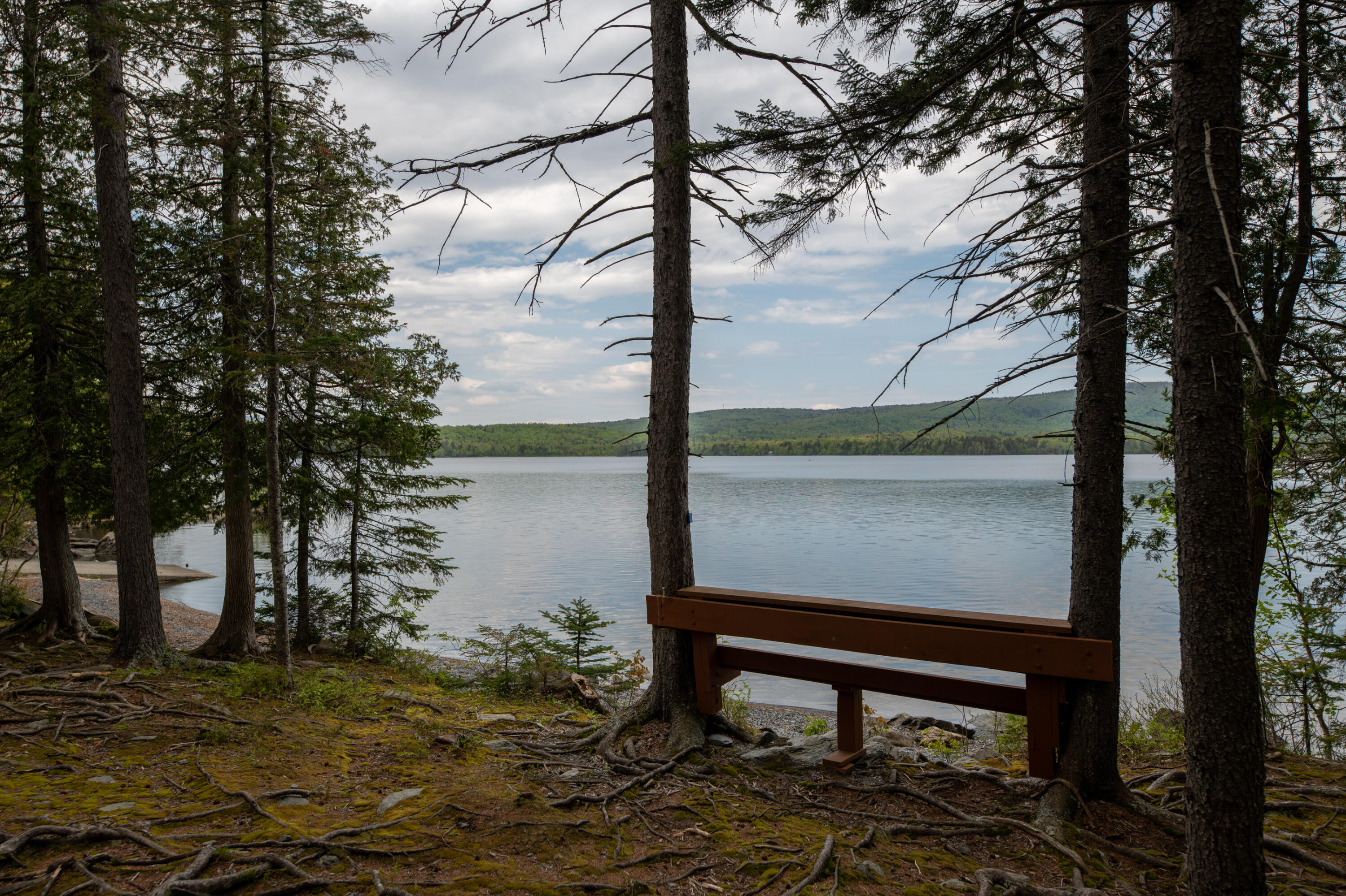 Lot 44 Otter Slide Road Greenville, ME 04441 - Photo 5 of 14 DSC_8840