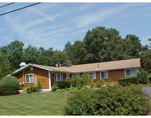 7 Francine Road Framingham, MA 01701 - Photo 1 of 26 a view of a yard in front of a house with plants and large tree