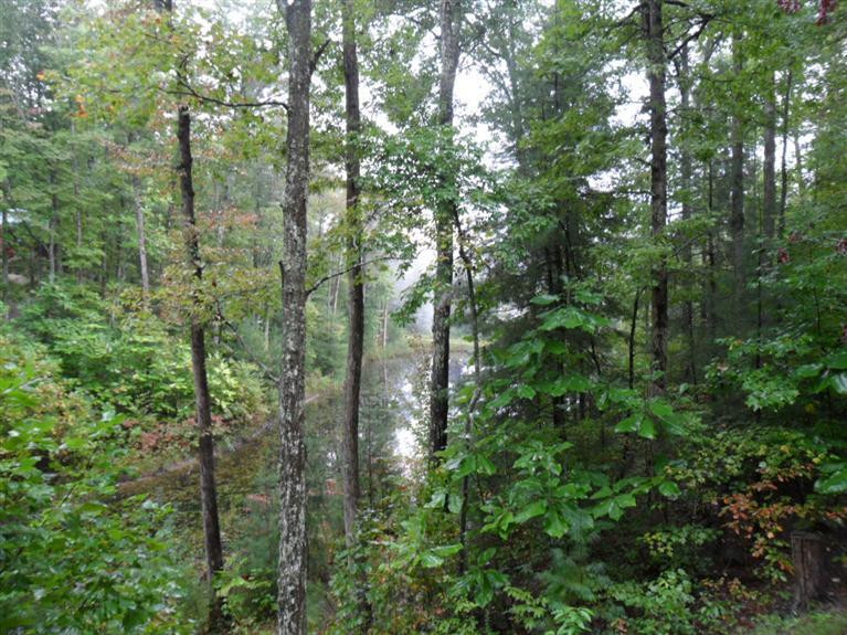 544 Eagle Ridge Road Zoe, KY 41397 - Photo 7 of 36 Photo 7