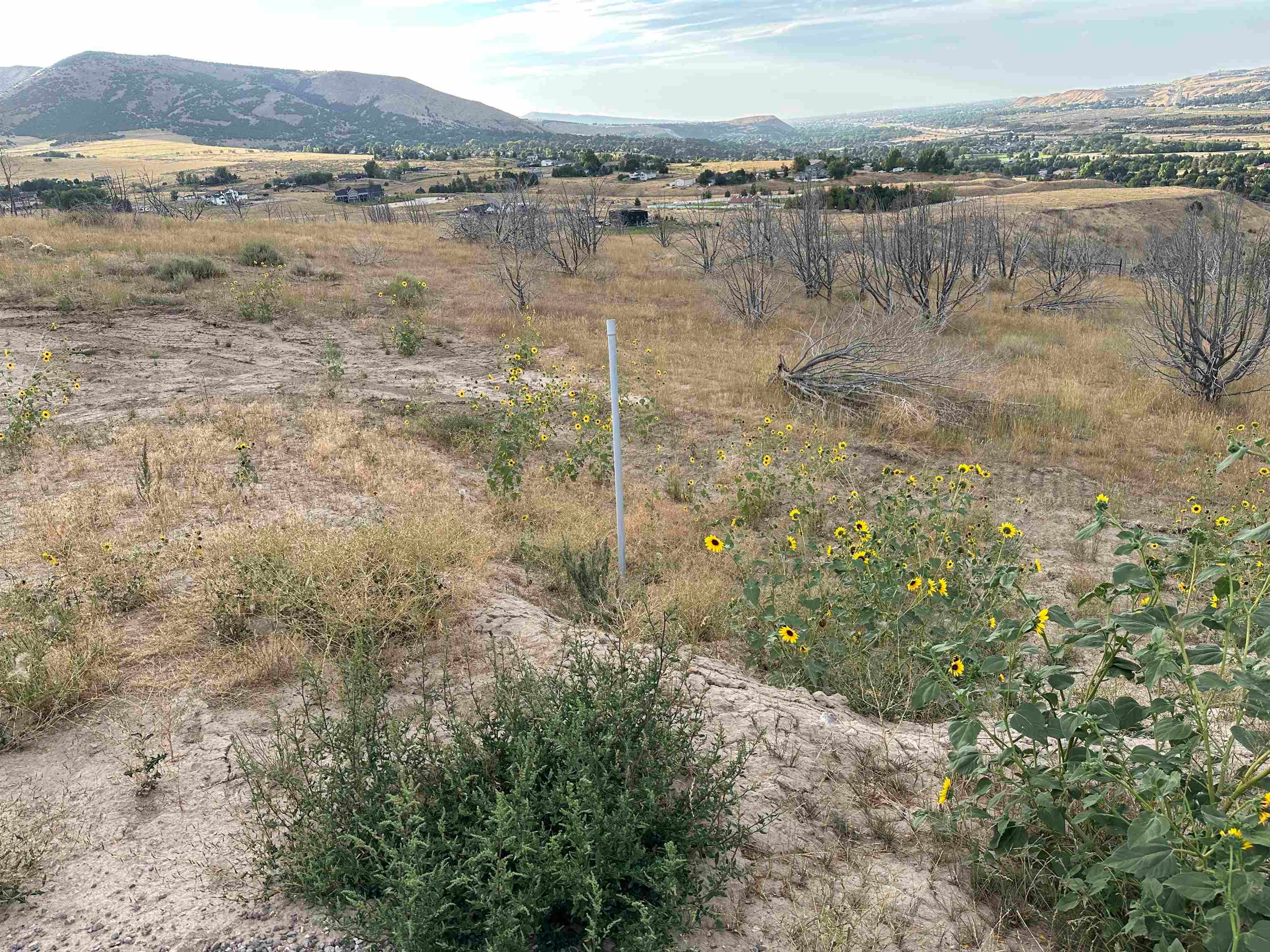 Lot 3 Ridgeview Lane Pocatello, ID 83204 - Photo 10 of 13 Gallery Image 10