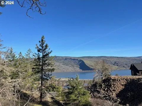 a view of a dry yard with lots of bushes