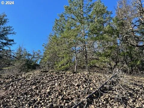 a view of a bunch of trees