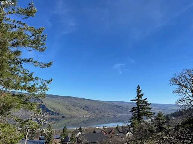 a view of a tree with an tree