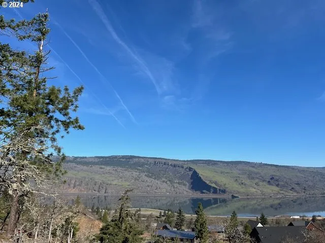 a view of a city with lush green forest