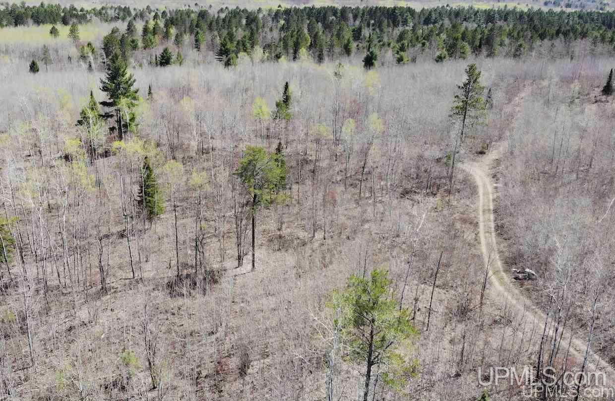 Tbd Baraga Plains Road Baraga, MI 49908 - Photo 7 of 18 Gallery Image 7
