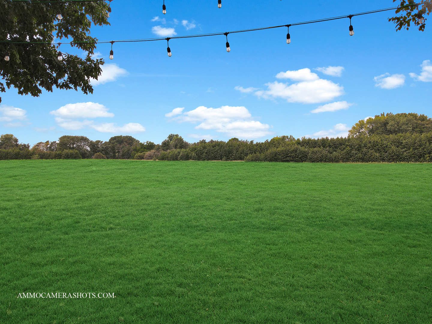 1840 Marne Road Bolingbrook, IL 60490 - Photo 37 of 37 a view of a yard in front of a house