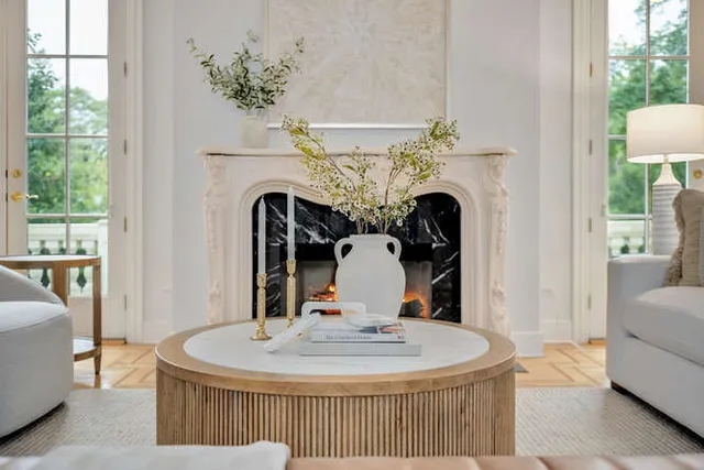 a living room with furniture a fireplace and a potted plant