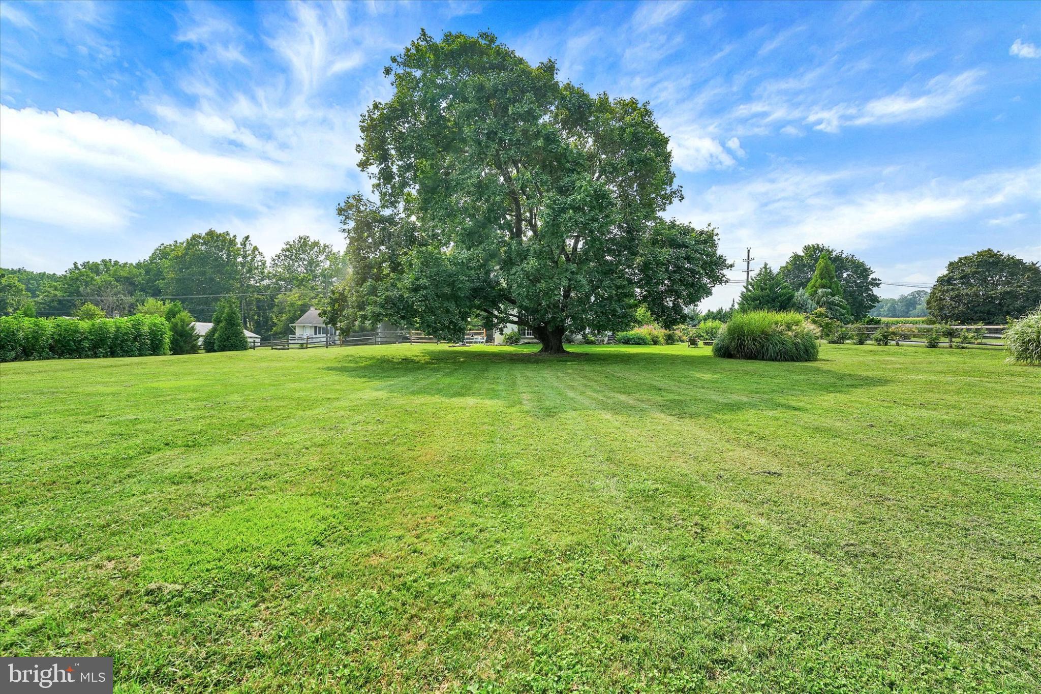 180 Springdell Road Coatesville, PA 19320 - Photo 36 of 55 a view of a grassy field with trees