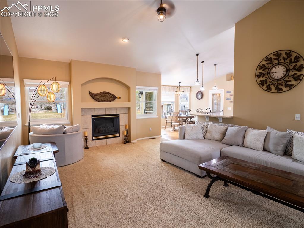 9204 Rockingham Drive Peyton, CO 80831 - Photo 19 of 50