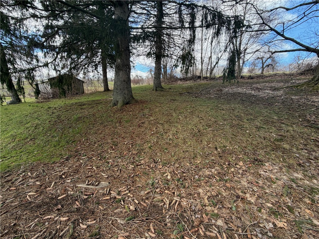 4469 Fish Farm Road Sodus, NY 14551 - Photo 18 of 19