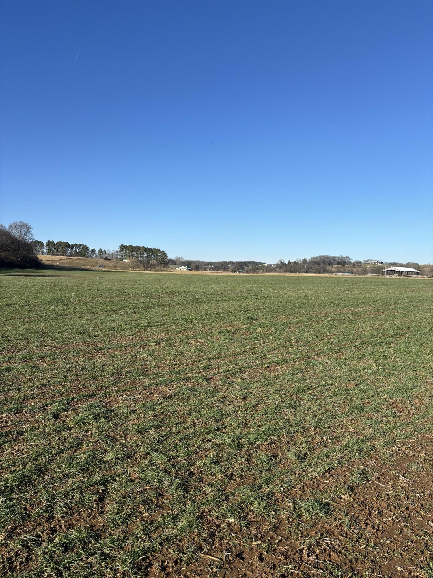 168 Moby Road Delano, TN 37325 - Photo 19 of 20