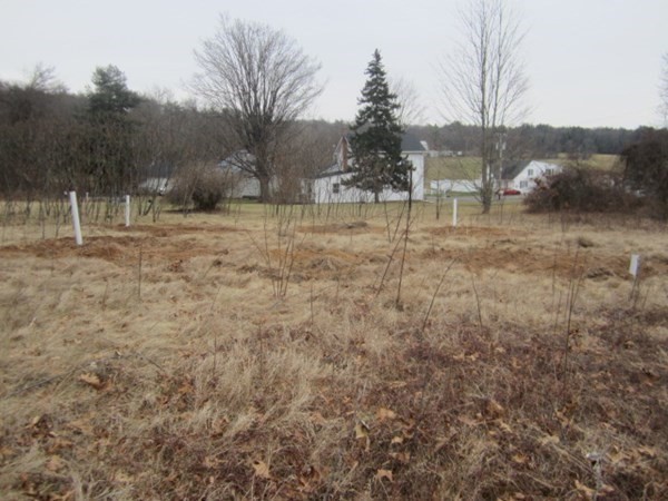 Lot 54 Valley Road Southampton, MA 01073 - Photo 2 of 14 a view of a yard with a tree