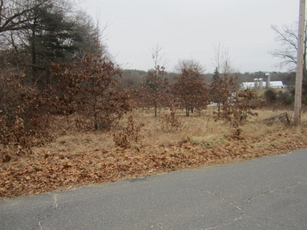 Lot 54 Valley Road Southampton, MA 01073 - Photo 4 of 14 a view of a yard with trees in the background