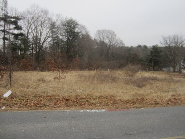 Lot 54 Valley Road Southampton, MA 01073 - Photo 5 of 14 a view of a yard with a tree