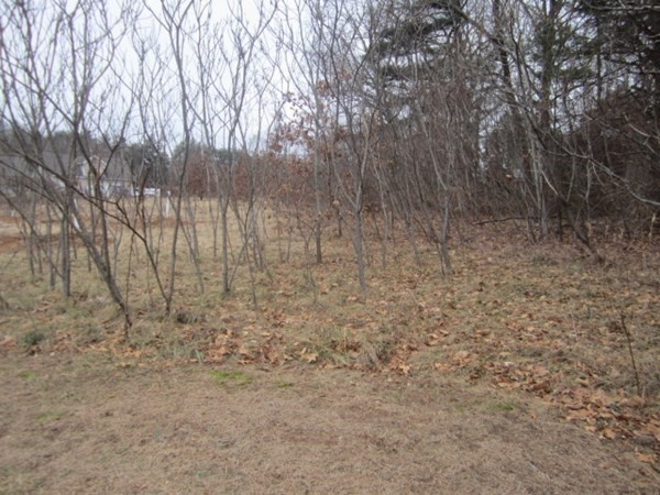 Lot 54 Valley Road Southampton, MA 01073 - Photo 6 of 14 a view of a yard